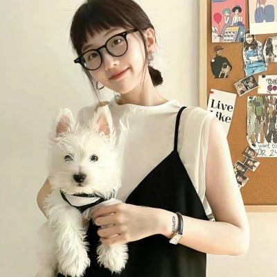古墓入侵者